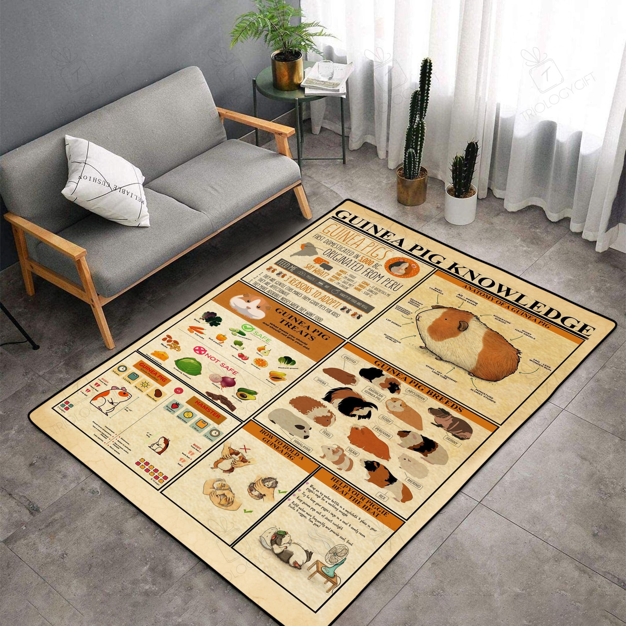 Guinea Knowledge Aak498 Rectangle Rug Decor Area Rugs For Living Room Bedroom Kitchen Rugs Home Carpet Flooring TTG014838